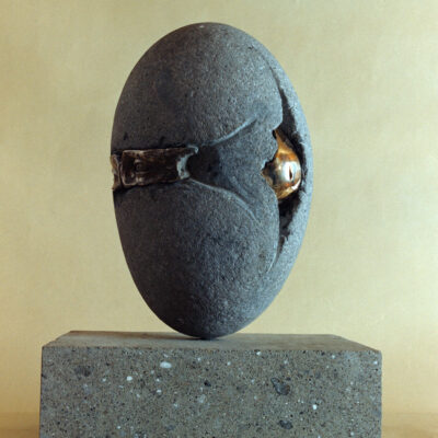 Embrione